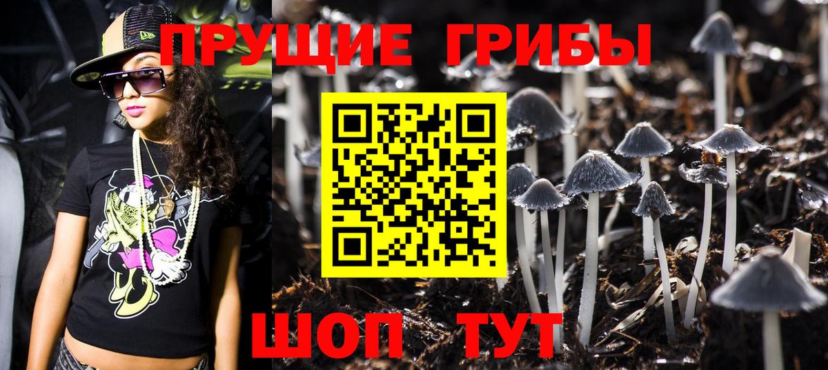 Псилоцибиновые грибы Psilocybe Богданович